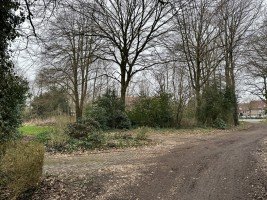 Hauptbild Baugrundstück für Investoren in guter Zentrumslage